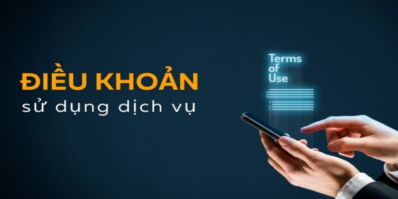 Thông tin cơ bản về điều khoản sử dụng